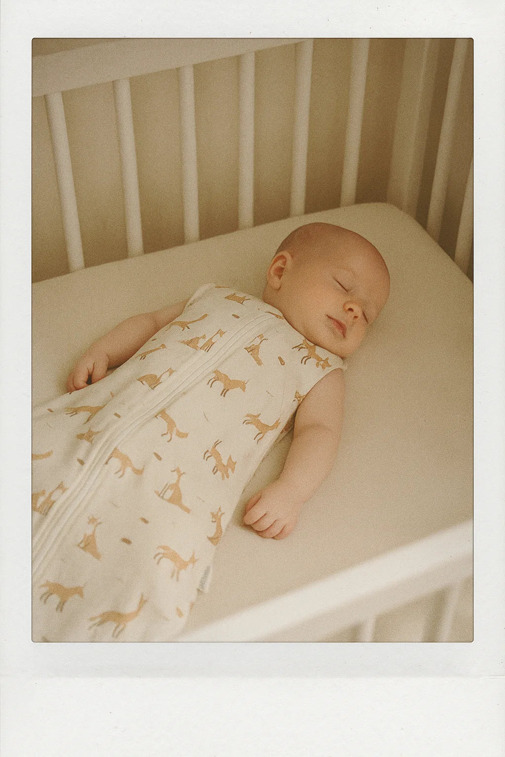 The Summer Sleeping Bag (0.5 TOG)